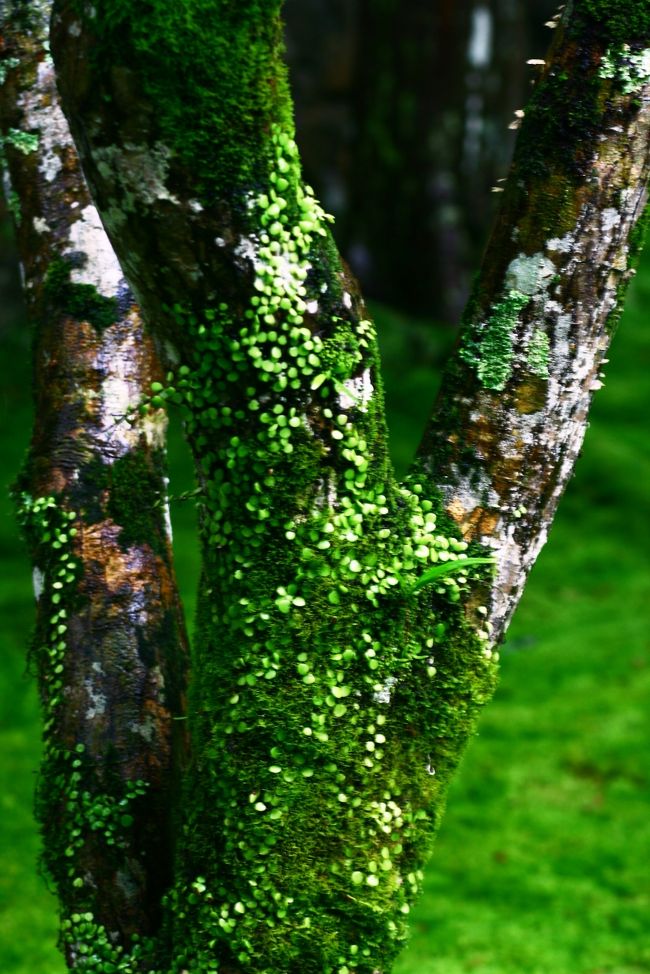 活き活きしてる感じ。。