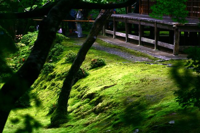 流れの如く。。