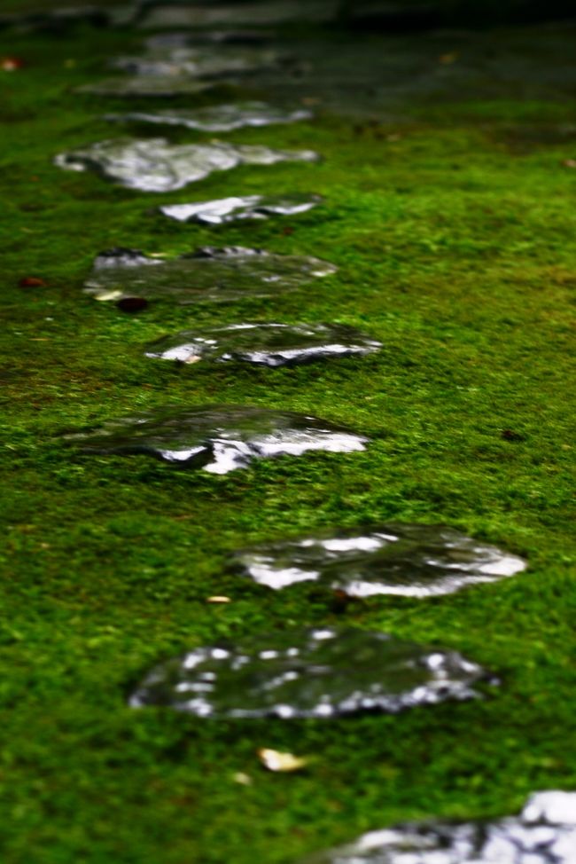 輝く旅路。<br />旅友に感謝。。