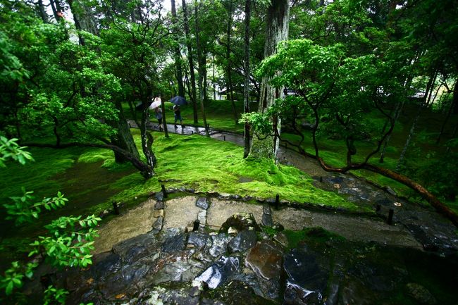 見返りの一枚。。