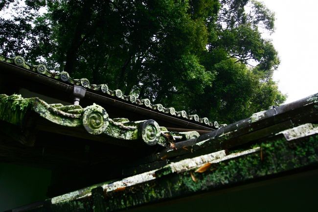 苔寺編は終わり。感謝でした。。<br /><br />この後は東山へ移動します。<br />「建仁寺塔頭・両足院編」につづく