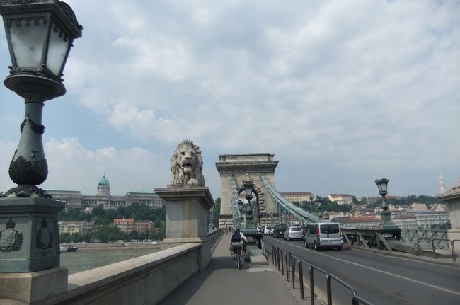 くさり橋<br /><br />ここまで歩いただけでめっちゃ暑い