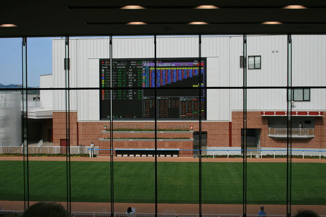 改修オープンしたJRA函館競馬場。<br />海の見える競馬場。