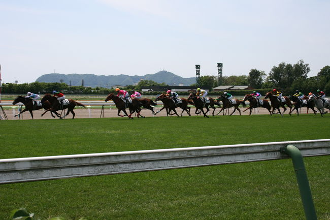 函館山と疾走するサラブレッド。