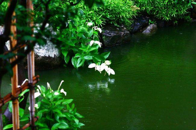 水鏡を覗き込み。。