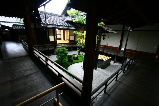 突然目の前に飛び込んできた。