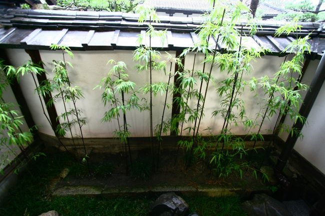 黒竹。<br />味がありました。。