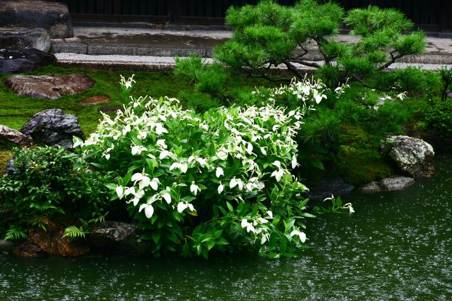 旅友も絶好調。。