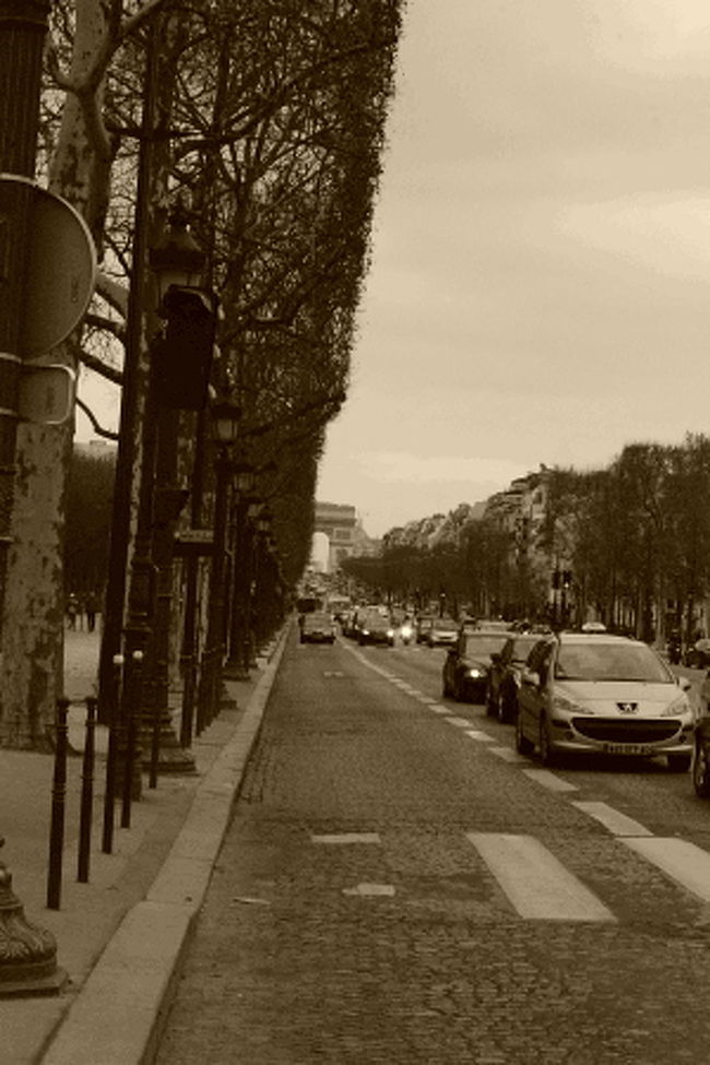毎度お馴染みのシャンゼリゼ通り。<br />いつも同じ写真になっちゃうので今回はセピアver.にて。<br /><br />この後、一旦ホテルに戻り、初パリのみんなをギャラリーラファイエットへ買い物に連れて行き、そのついでに各々で量り売りのお惣菜などを買ってホテルに戻り、みんなで少しずつ摘んで食べました。<br />あ、ちなみにお昼はヴァンヴで蚤の市を見た後、近くにあったベーカリーのサンドイッチや、これまた近くのお店でケバブのピタサンドなどを食べました。