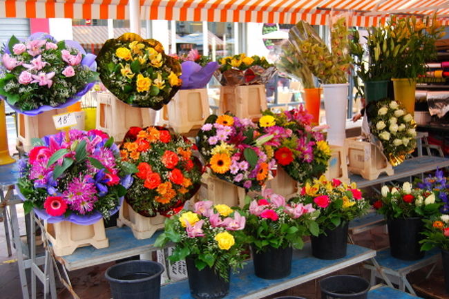 旧市街地の花市。