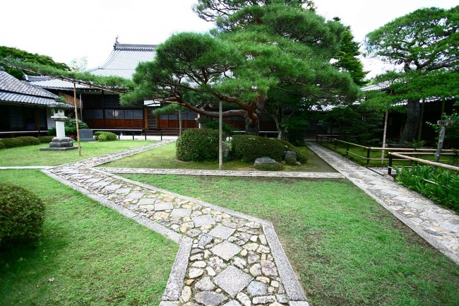 スッキリした御顔を拝見。。