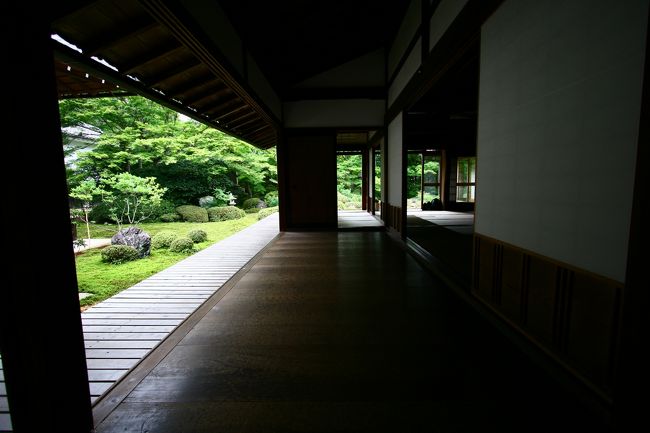 静かで心落ち着きました。<br />この時期から拝見して良かった。