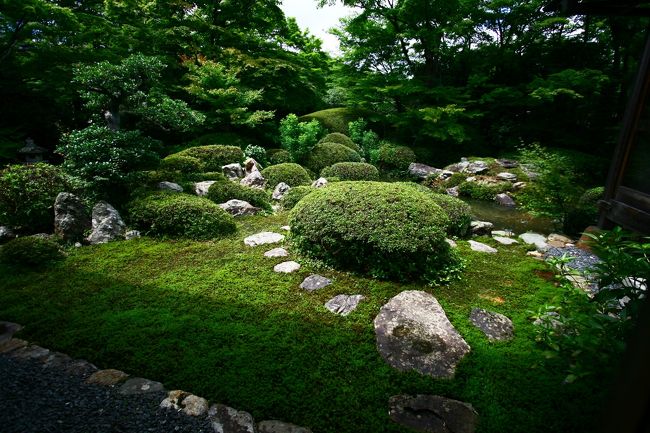 夏顔も見応えありました。