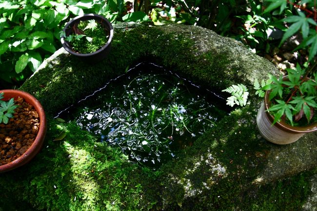 主を待つ傘を引き取りに・・・<br />旅の忘れ物には注意ですね。。<br />涼しげなので最後に一枚。<br />