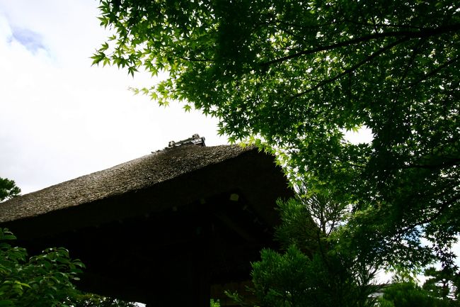 鐘堂の屋根は・・・<br />ビックリでした。。