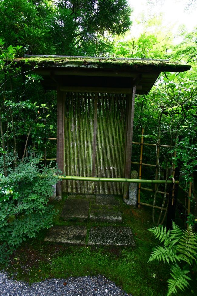 良い感じ・入ってみたい。<br />おくが気になる。。