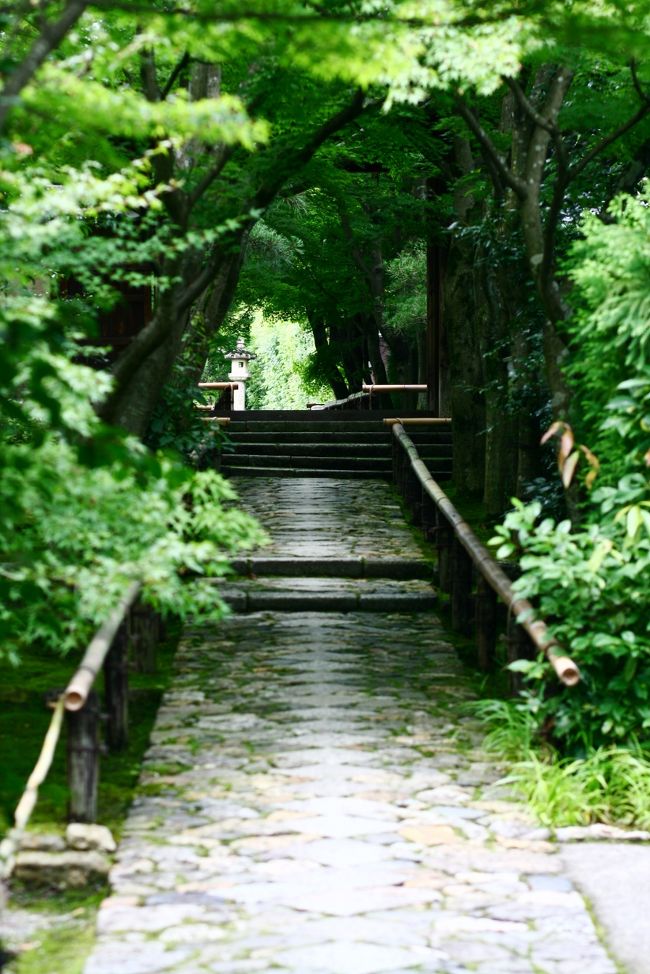 帰り路。。<br />今年の秋は来れるかな?<br /><br />(=^・^=)カフェへと歩を進める。。<br />つづく