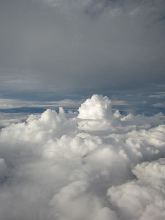 キャプテンから２回もアナウンスで揺れます！かなり揺れます！と脅す。<br /><br />飛行機嫌いな僕は、ドキドキ。。。<br /><br />まぁ梅雨時期だったからしょうがないな。<br /><br />しかし、あまり揺れなかった。<br /><br />揺れにマヒしてるか？