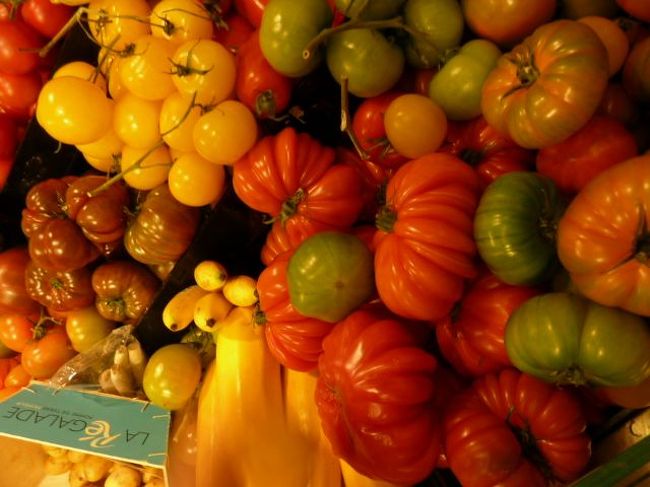 カラフルでとても大きなトマト<br /><br />不揃いなところがまたいい