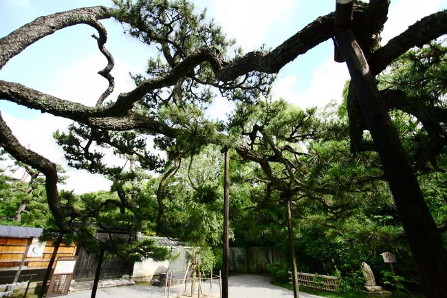 間に合うかと・・・<br />受付へすべり込む。。