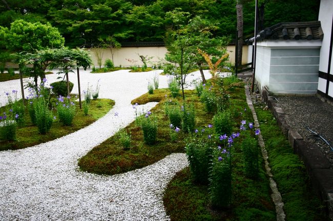 拝観時期はバッチリだった様でした。。