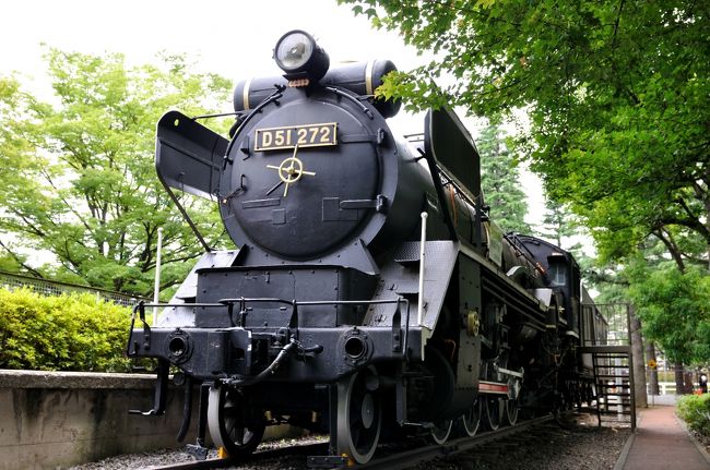 SLの旅シリーズ第7回目, 東京都区立世田谷公園で静態保存中のD51形