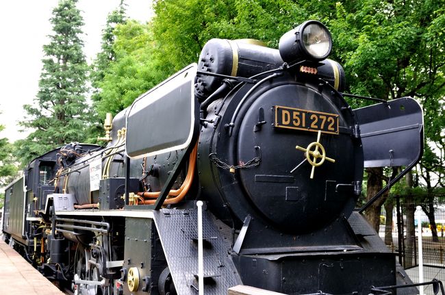 SLの旅シリーズ第7回目, 東京都区立世田谷公園で静態保存中のD51形