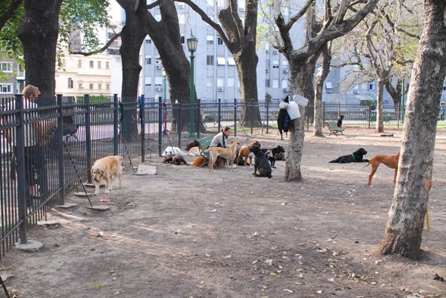 公園内にある柵で囲っただけのドックラン。<br />