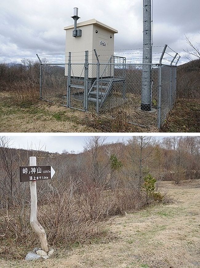 亀ヶ森牧場の一本桜 宮古 岩手県 の旅行記 ブログ By Sur Shanghaiさん フォートラベル