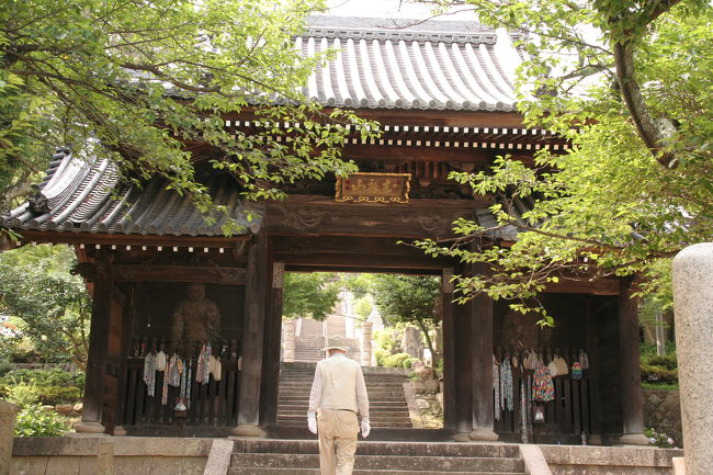 88歳の義父と行く… 静かな境内の中の蓮の花…西宮・甲山神呪寺(甲山大師)①