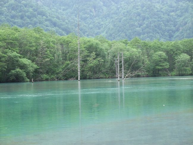 奥に行くほど際立つ鮮やかなグリーンの水面。<br /><br /><br />