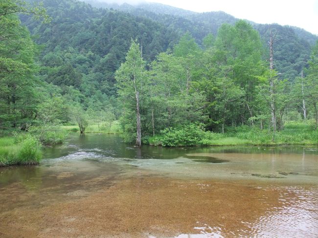 田代池は何とも雰囲気のある池でした。