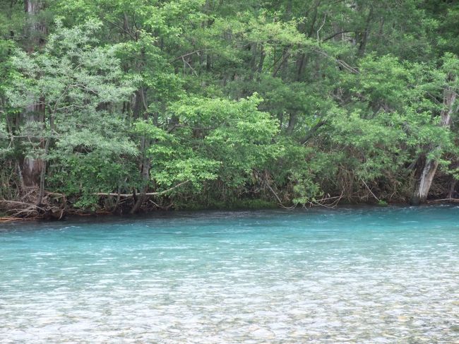 透明な川が奥に行くと鮮やかな水色に変化する秘密はなあに？