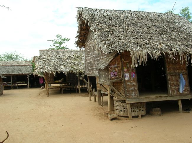 彼らはこんな家に住んでます。