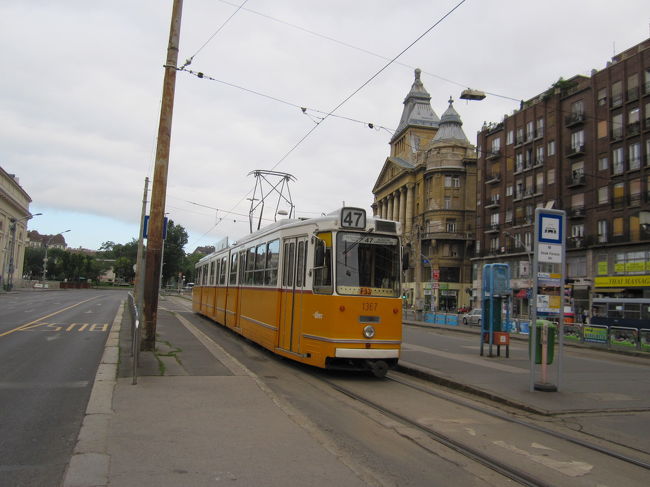 ２日目。<br />アパートのあるビルの前にはトラムが走っていて、便利。<br />