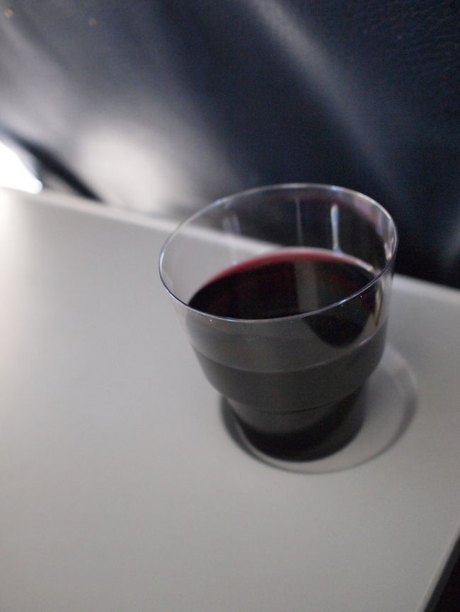 ハンガリーの飛行機らしく、残念ながら飲み物にビールはなし。<br />なので赤ワインをいただきました。<br />