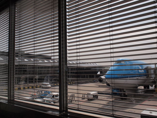 後はもう、日本に帰るだけです。