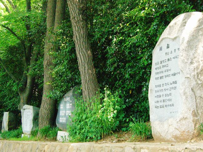 <br />熱心に何を見てるんだろう？<br />　と、色々な表情の石碑が並んでいます。