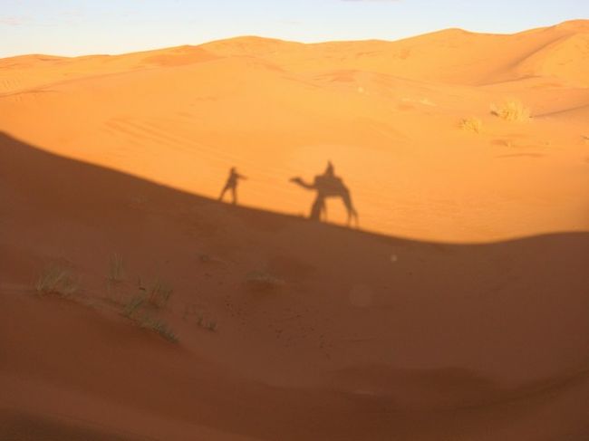 ラクダに揺られるなみおの影。