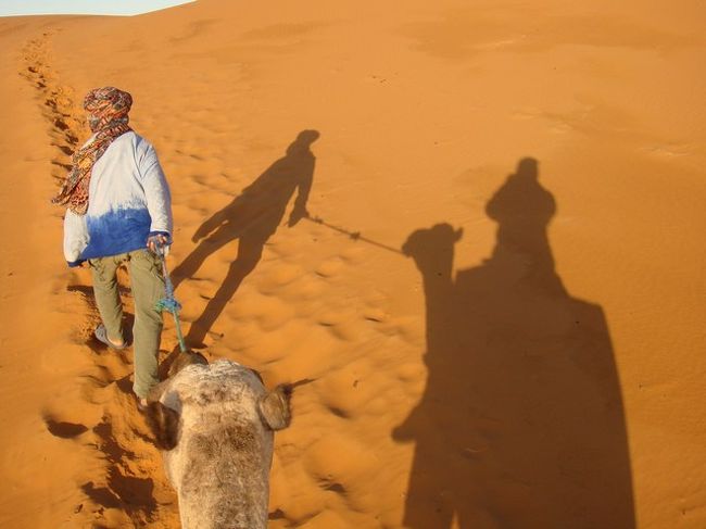 よく働くキャメルマンのにーちゃん。