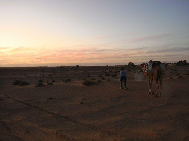 また今日も見れなかったサンセット・・・（涙）