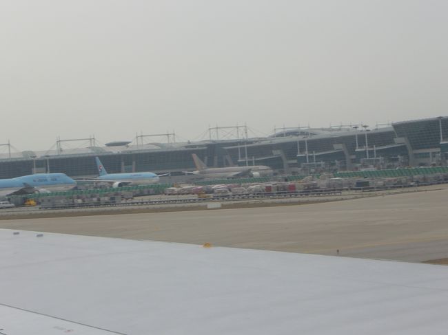 仁川空港<br />大韓航空機がいっぱいです。<br /><br />来た来た！　【韓国】に来たよ！<br />
