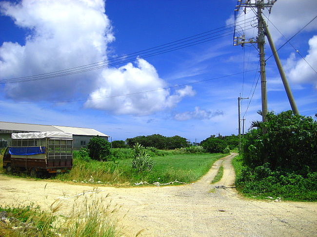 石垣島のシークレットビーチ 川平タバガー 石垣島 沖縄県 の旅行記 ブログ By Paradise Jinzeさん フォートラベル