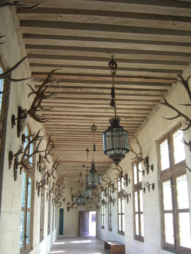 鹿の角と顔の骨が並べられた回廊を見つけました。<br />城主が狩りを楽しんだ成果でしょうか。<br />その他の部屋にも鹿の頭の剥製がありました。