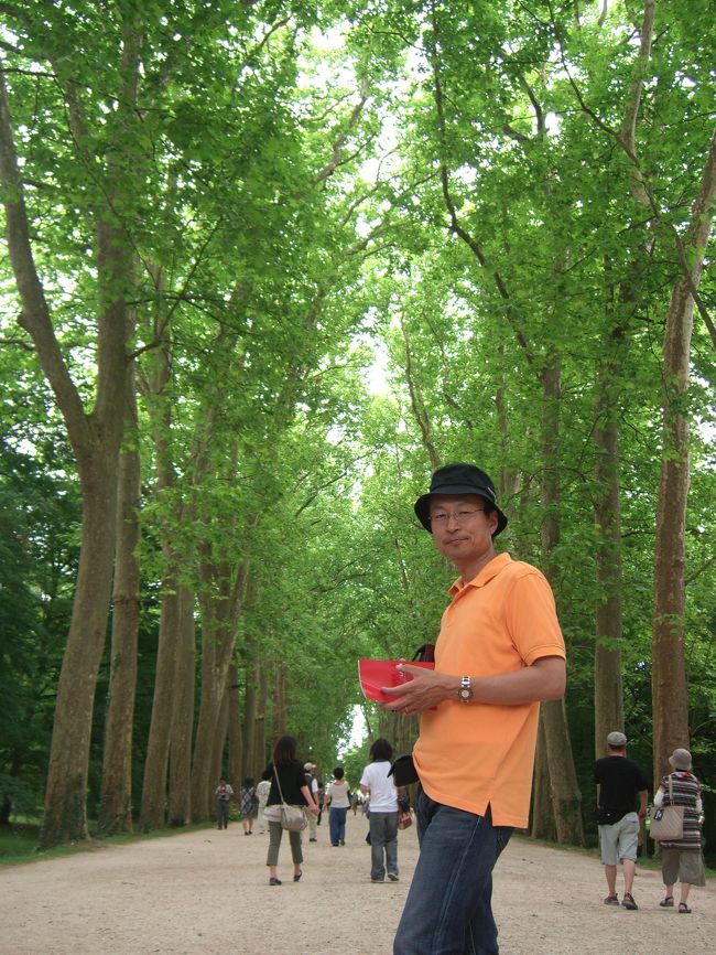 シュノンソー城に到着。<br />写真は、入口の並木道です。５００ｍぐらいあったでしょうか。