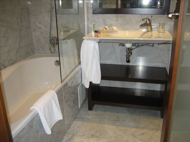 バスルームも十分きれい。