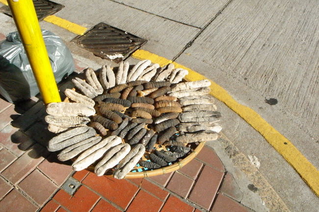 写真を撮りながら、上環から中環へ。<br /><br />途中、こんなものが…。<br /><br />なまこ？<br /><br />この通りは乾物屋が多くて、<br />店先の売り物を、日の当たる場所を狙って、<br />ざるに広げて再殺菌？させている光景が<br />たくさん見られた。