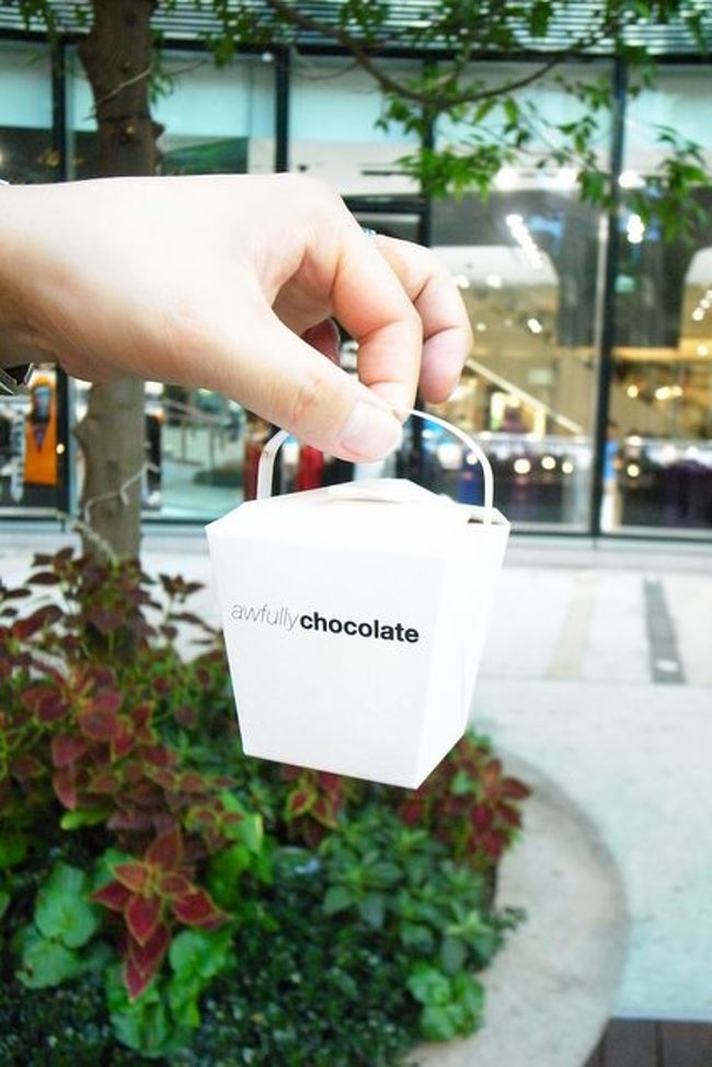 アイスの入っていた箱。<br />これもかわいい。<br /><br />でもダブルスクープだと、上蓋が閉じられない。<br />食べ切ってから写真に撮りました。