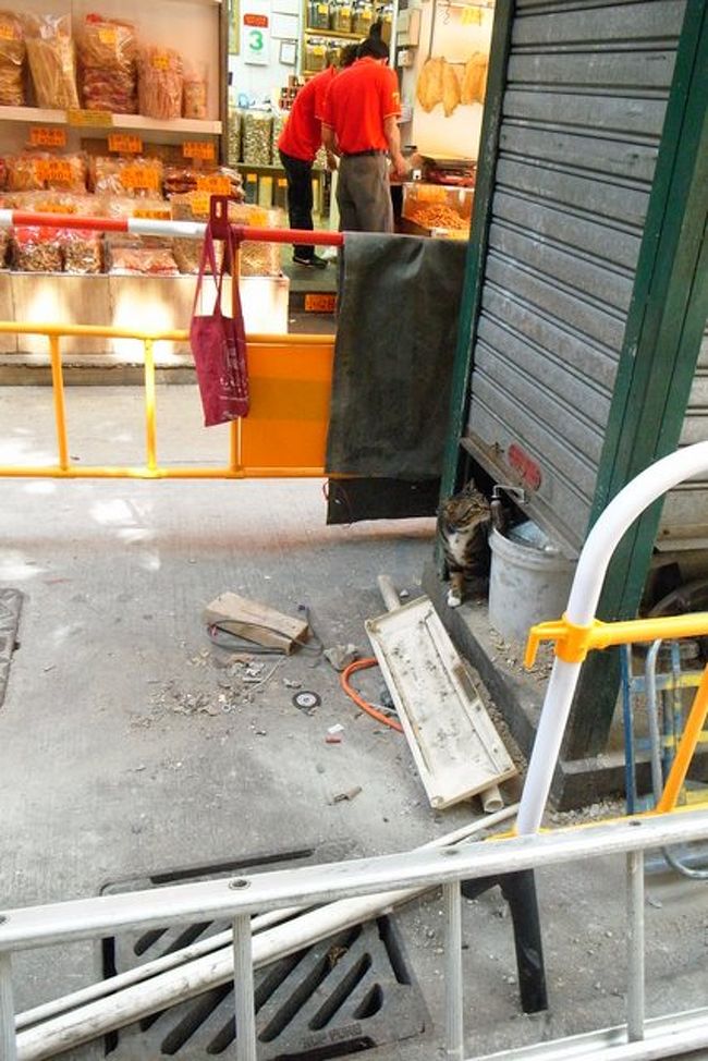 ｢徳成海味｣の前にいつもいる、<br />猫ちゃん。<br /><br />前の旅行記でも写真に写してました。<br />→http://4travel.jp/traveler/naicha/album/10334408/<br /><br /><br />さっきのポークチョップバーガーでは<br />朝食として足りないだろうと思って、<br />ちょっと前に新しくできた上環の飲茶店｢蓮香居｣に<br />行く予定だったんだけど、<br />転んだ足も痛くなって、今回はパスしました。