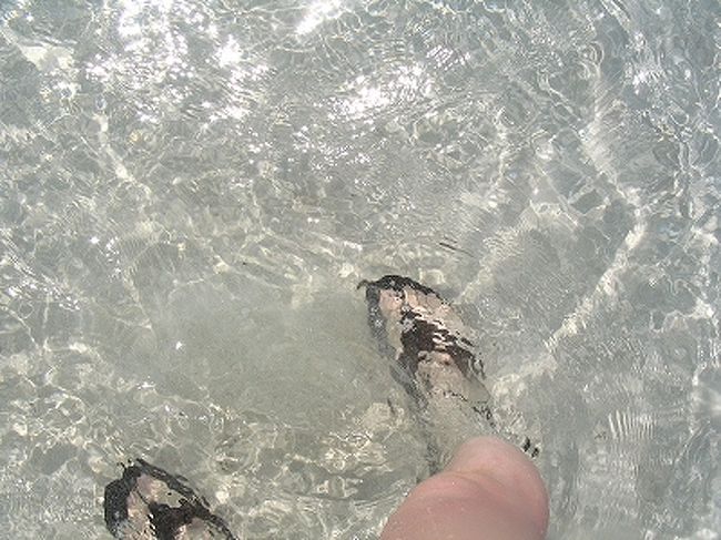 砂も白いし水もキレイなので、波打ち際はまるでプールのような透明度。